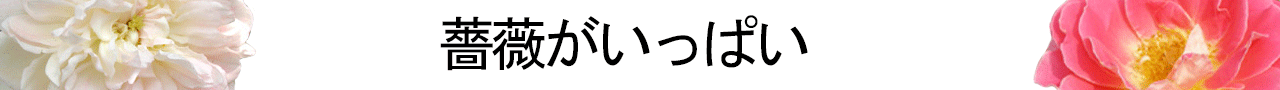 薔薇がいっぱい